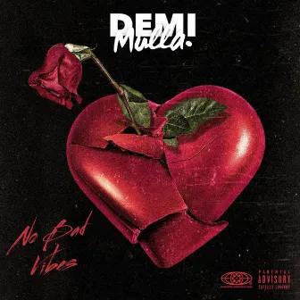 No Bad Vibes by Demi Mulla