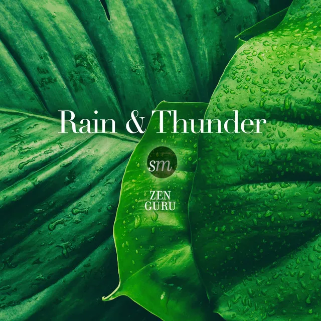 Soothing Thunder and Rain