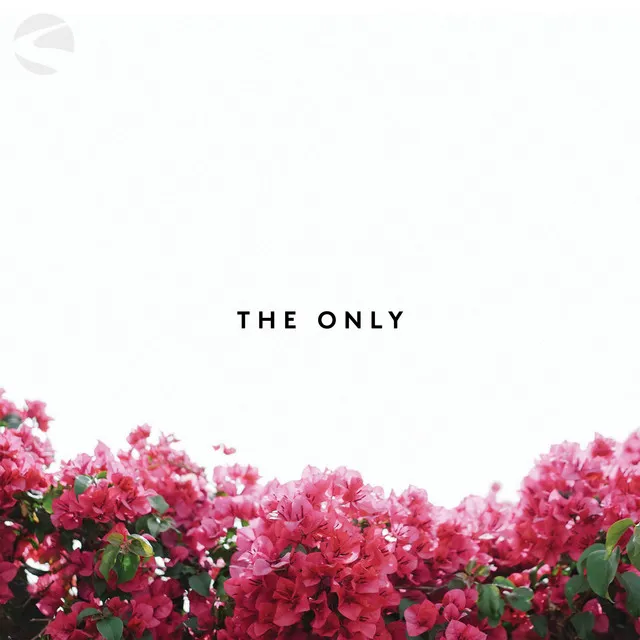 The Only - Live