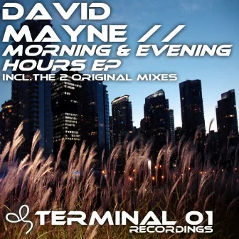 Morning & Evening Hours EP by David Mayne