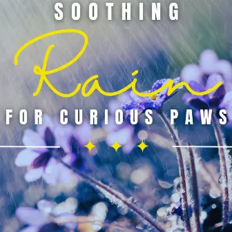 Rain's Canine Serenity: Soothing Rainfall by Relaxing Dog Music