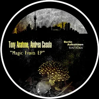 Magic Fruits EP by Tony Anatone