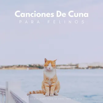 Jazz Y Catnip: Canciones De Cuna Para Felinos by Canal BGM de Chilled Jazz Cafe