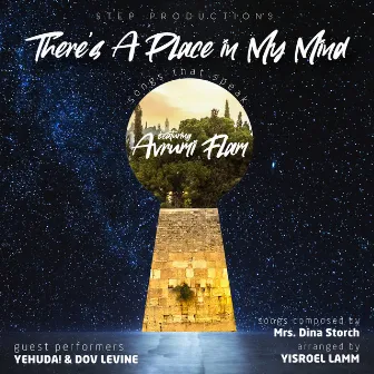 There's a Place in My Mind by Avrumi Flam