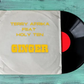 Ginger by Terry Afrika