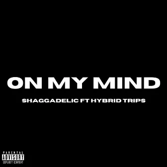 On My Mind by Shaggadelic