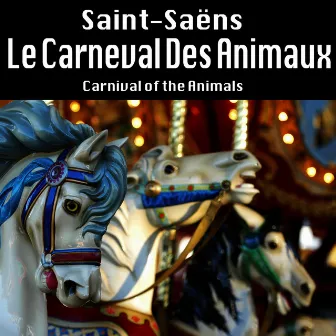 Le Carneval Des Animaux by South German Philharmonic Orchestra