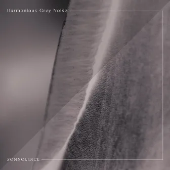 Harmonious Grey Noise by Somnolence