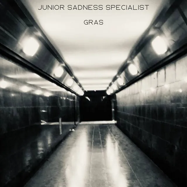 Junior Sadness Specialist