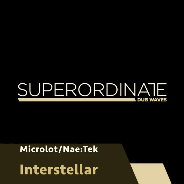 Interstellar - Microlot's Deep Interpretation