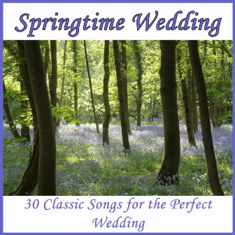 Springtime Wedding: 30 Classic Songs for the Perfect Wedding by Classical Wedding Music Experts