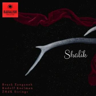 Shalik by Brusk Zanganeh