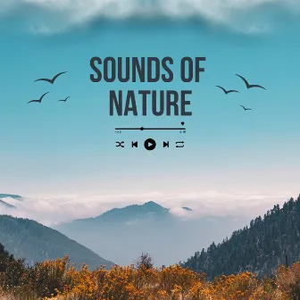 Sounds of Nature by Aimee