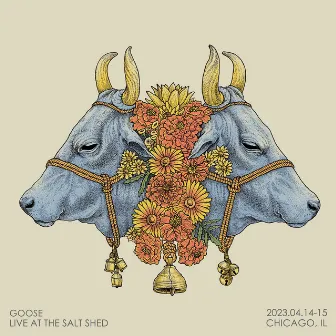 Live at The Salt Shed by Goose