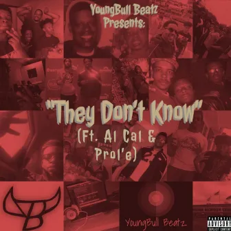 They Don't Know by Youngbull Beatz