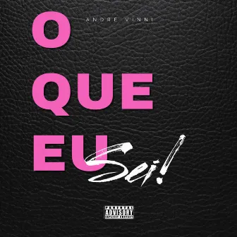 O Que Eu Sei by André Vinni