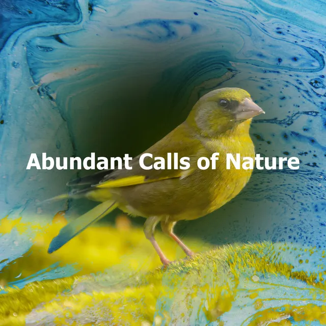 Abundant Calls of Nature