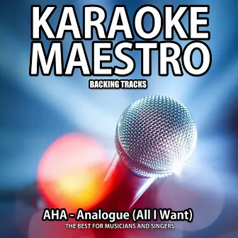 Analogue (All I Want) [Karaoke Version] (Originally Performed By A-Ha) by Tommy Melody