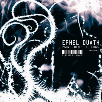 Pain Remixes The Known by Ephel Duath