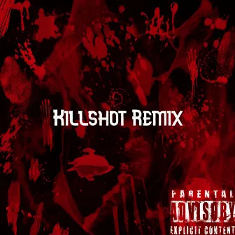 Killshot (Remix) by Caden Cottrill