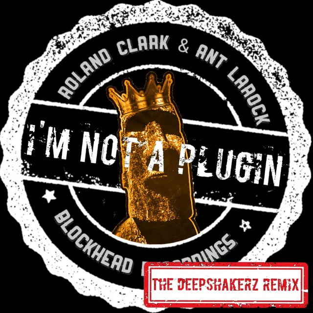 I'm Not A Plugin - The Deepshakerz Dub Mix