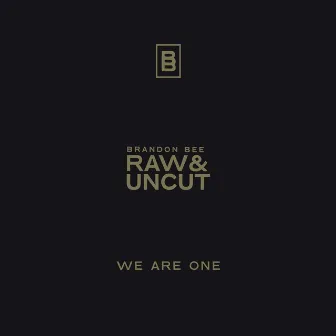 We Are One by Brandon Bee