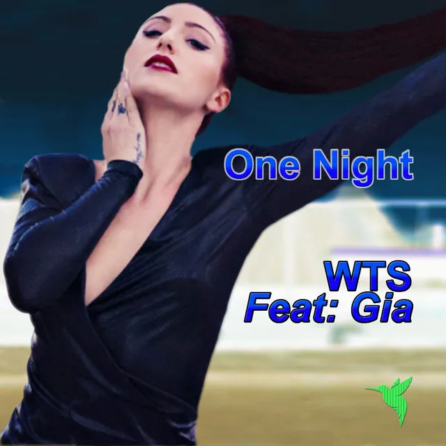 One Night - The Scene Kings Radio Mix