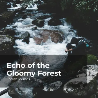 Echo of the Gloomy Forest by Forest Sounds