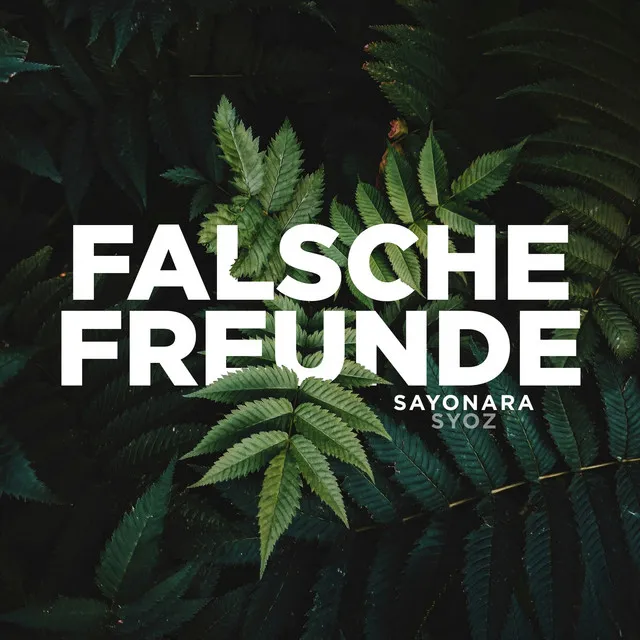 Falsche Freunde