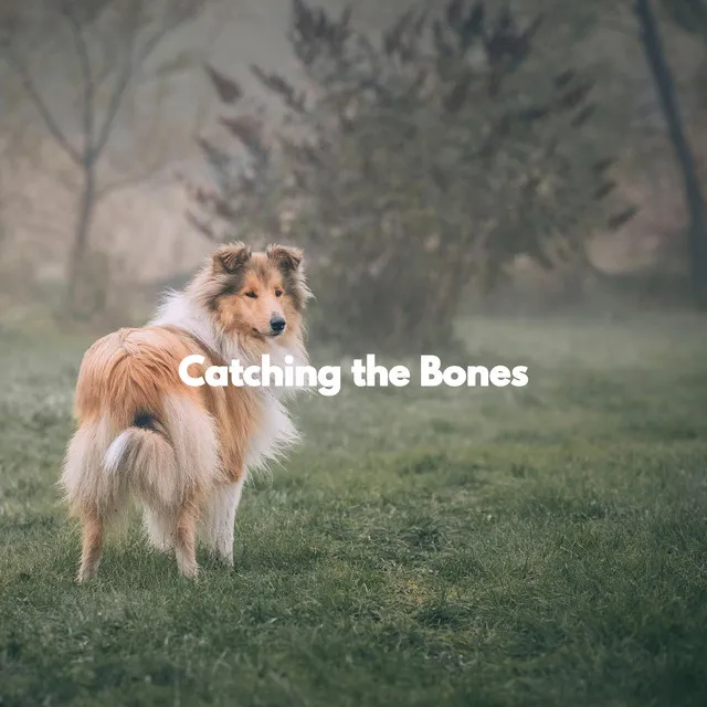 Catching the Bones