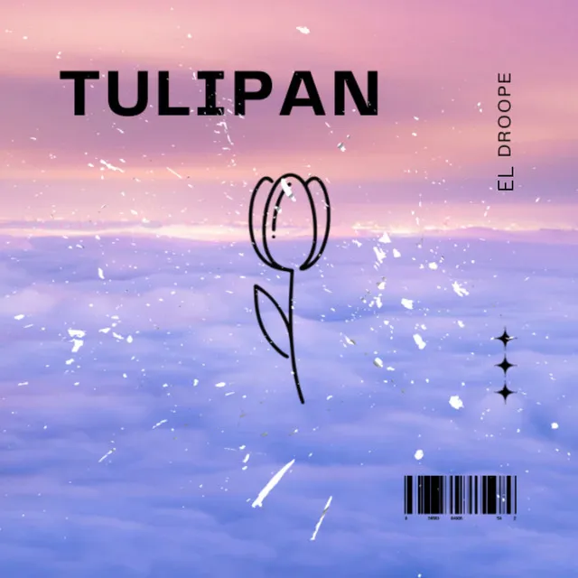 Tulipán