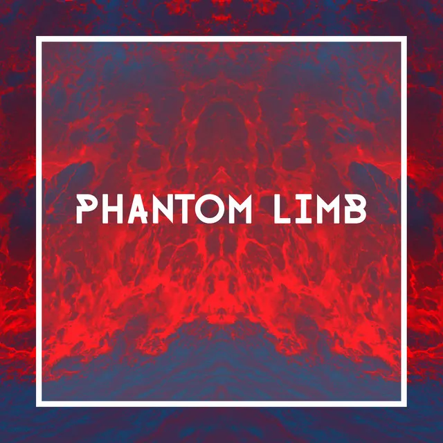 Phantom Limb