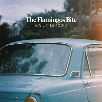 Big Little Town by The Flamingos Bite