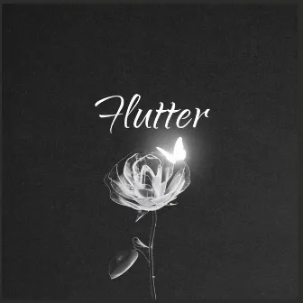 Hutter by LM Beat