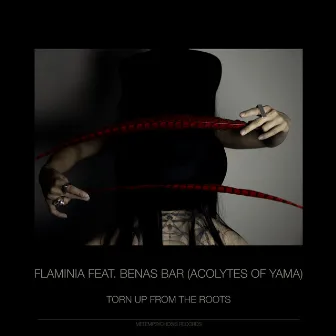 Torn Up From The Roots by Flaminia