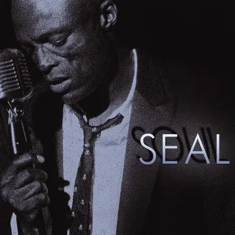 Soul by Seal