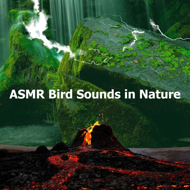 ASMR Bird Sounds in Nature