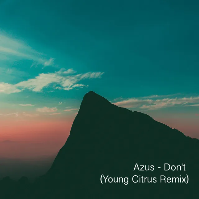 Don't - Young Citrus Remix