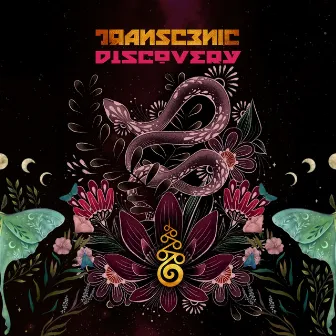 Discovery by Transcenic