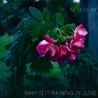 WHY IS IT RAINING IN JUNE by NITA SLAY