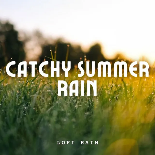 Lofi Rain: Catchy Summer Rain