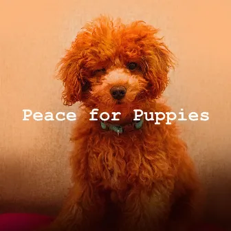 Peace for Puppies by Dog's Music