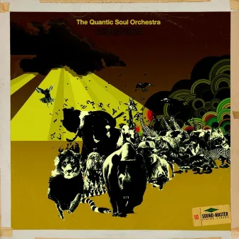 Stampede by The Quantic Soul Orchestra