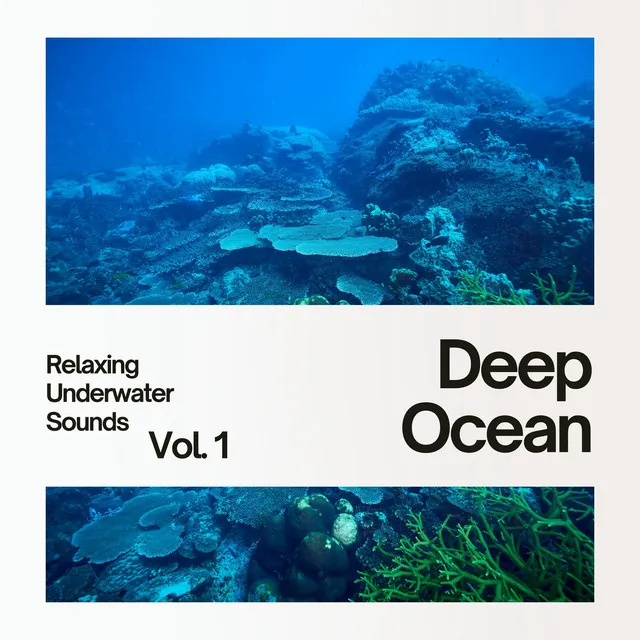 Deep Ocean: Relaxing Underwater Sounds Vol. 1