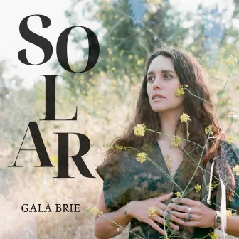 Solar by Gala Brie