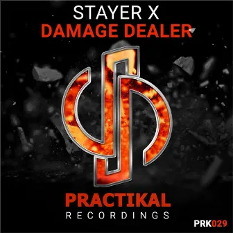 Damage Dealer by Stayer X