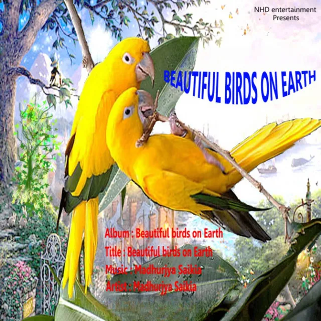 Beautiful Birds on Earth