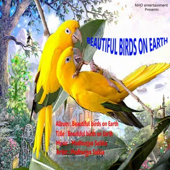 Beautiful Birds on Earth by Madhurjya Saikia