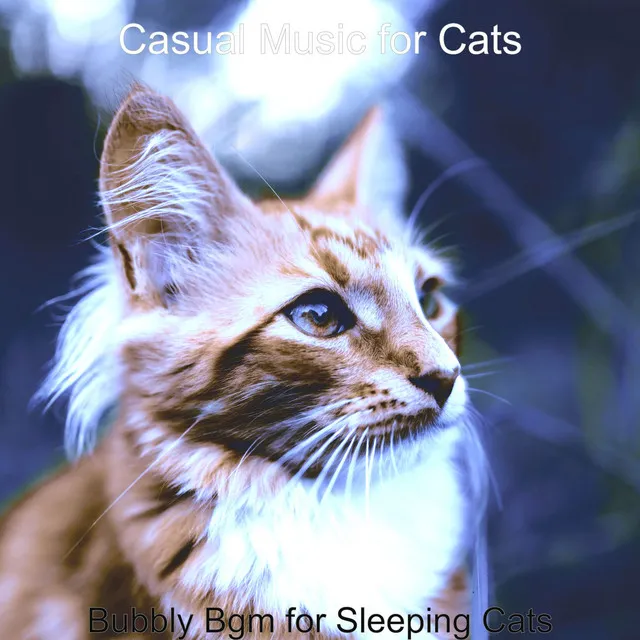 Hot Music for Training Your Cat