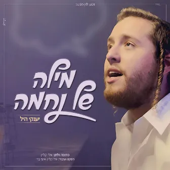 מילה של נחמה by יענקי היל